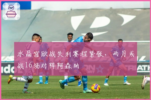 水晶宫欧战失利赛程紧张，两月或战16场对阵阿森纳